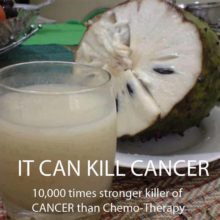 “Miracle Fruit” Said to Be Ten Thousand Times Stronger Than Chemo— Here’s What Those “Fact Checkers” Are NOT Telling You