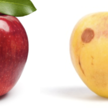 USDA Testing Shows Stark Difference in Pesticide Residues on Conventional Apples vs. Organic Apples
