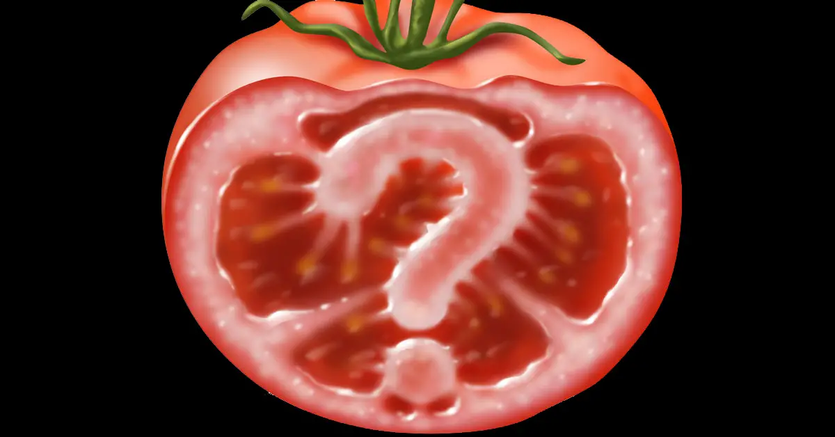 gmo sedative tomato