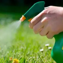 Breaking News: Latest Study Finds ‘Disturbing’ Results as Monsanto Pesticide Found in Vast Majority of All Human Samples