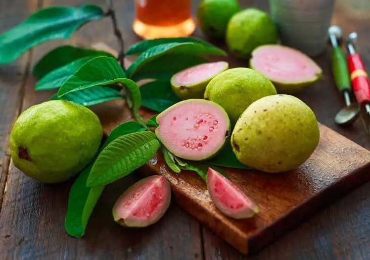 guava leaf extract benefits