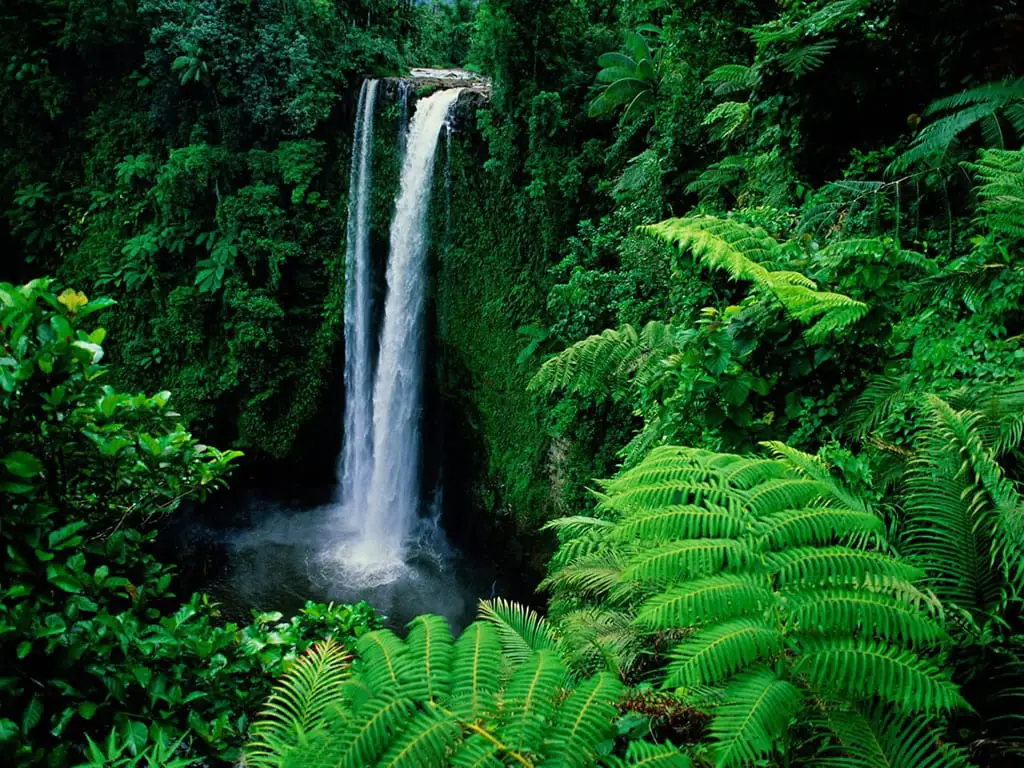 amazon rainforest waterfall