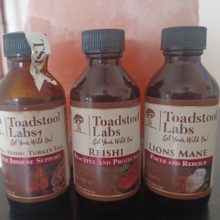 Product Review: A Collection of ‘Wild,’ Honey-Infused Mushroom Syrups from Toadstool Labs