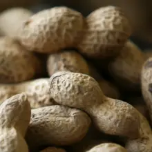 Study Finds One Treatment Could Cure Peanut Allergy in Up to 80 Percent of Users
