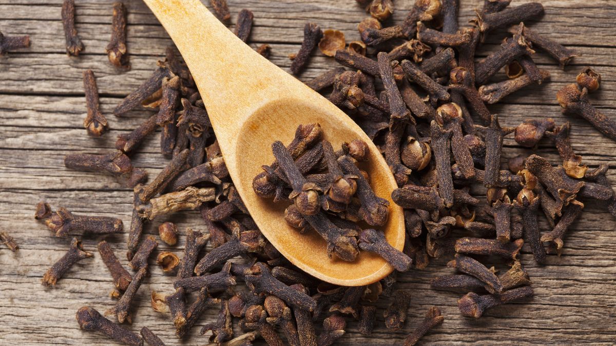 Cloves are incredible for the health benefits they provide including disease protection 