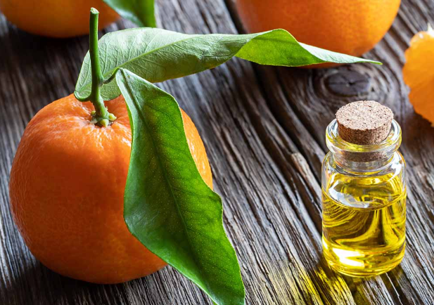 Orange essential oil has tremendous list of health benefits for kids and adults alike 