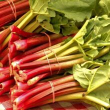 Add Rhubarb to Your Daily Diet (and These Eight Things Happen)