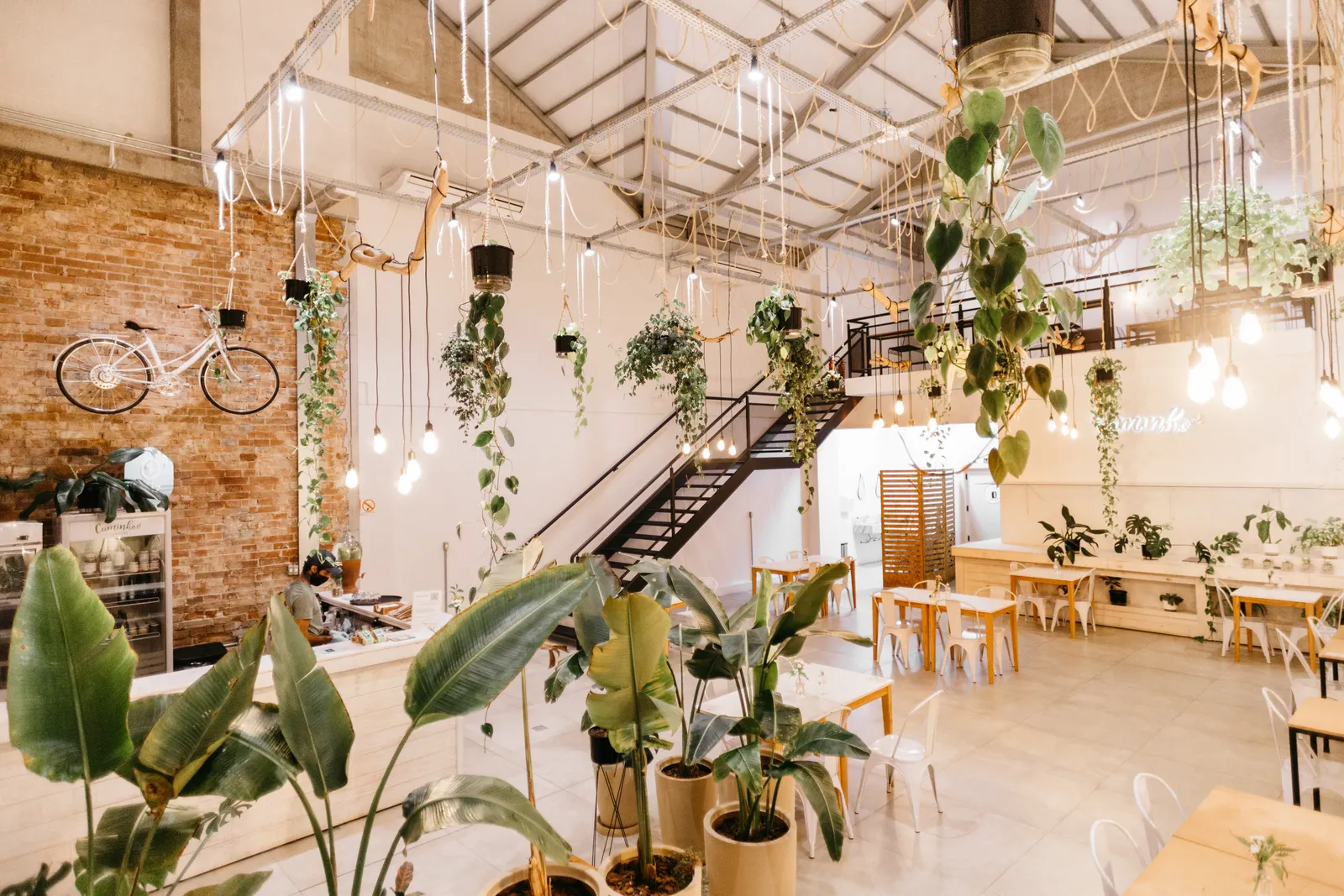Café interior full of plants