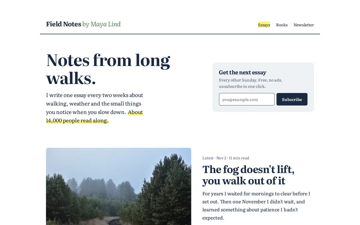 Field Notes sample writer & newsletter website homepage