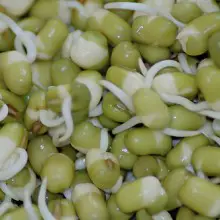 Easy Instructions on How to Sprout Nutrient Dense Mung Beans
