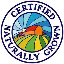 The certification program's logo. 