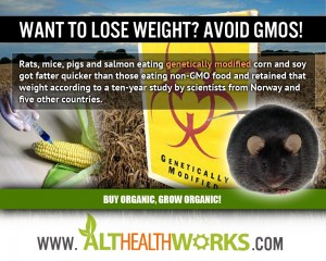 GMOs cause weight gain according to long-term animal feeding studies. 