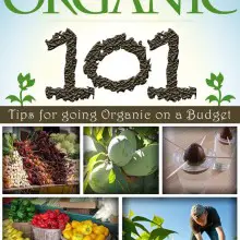 Want to Go Organic on a Budget? Check Out the New Book, ‘Dirt Cheap Organic…101 Tips…’