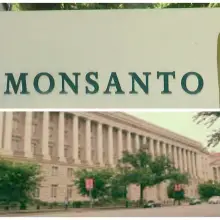 Report: Monsanto Mulled Move Overseas to Avoid U.S. Corporate Tax