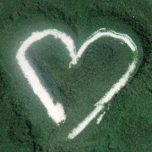 The Top Six Health Boosting Benefits of Spirulina Include Pancreatic Cancer Protection, Heavy Metal Detox and More