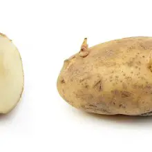 National Potato Council Admits Serious Financial Risks, Prepares to Approve GMO Potato Anyway