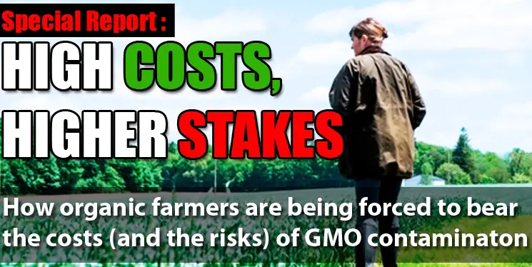 Contamination from Monsanto and other companies' genetically modified crops has made it virtually possible for organic farming to coexist in many areas across the United States and other countries where GMOs are being grown.