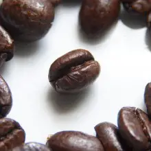 Could Your Cup of Joe Soon Be GMO? Scientists Think They May Have Found an Answer