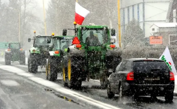 Polish farmers are rising up against GMOs.