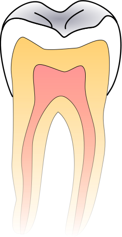 245px-Dentistry_logo.svg