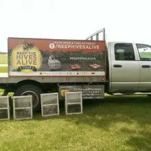 “Chemical Companies Are Killing Everything:” Man Packs Truck Full of 2.5 Million Dead Honey Bees for Cross Country Tour