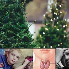 U.S. Commerce Dept.: 85% of Fake Christmas Trees Come From China, Made From Carcinogens, Toxins and Lead (What You Can Do to Minimize the Risks)