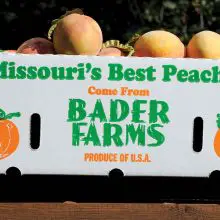 Missouri’s Largest Peach Farmer is Suing Monsanto After Devastating Pesticide Wreaks Havoc on His Crops