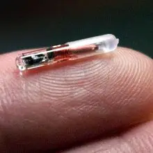 NBC Report: Forgotten Studies Link Implantable RFID Microchips to Higher Rates of Cancer