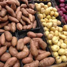 FDA Approves Three New Types of GMO Potatoes — Here’s What You Must Know to Avoid Them