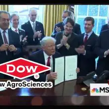 Don’t Let Trump Poison Our Children! This Toxic “Dow Chemical” Pesticide Damages Kids’ Brains (linked to autism, ADD, low IQ, memory loss, and more…)