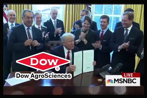 dow-trump.jpg