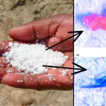 Toxic and Carcinogenic Plastics are Found in Fifteen Sea Salt Brands from Different Counties (One Country is The WORST!)