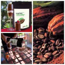 Featured Product Review: Joyfuel Cacao (Made From the Rare Criollo Bean)