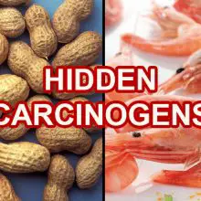 26+ Carcinogens according to the World Health Organization, You NEED to Know About
