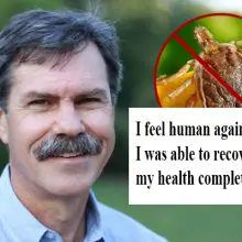 Doctor Disillusioned with Medicine Goes The Alternative Route – Makes a Recovery from Lyme Disease in Just 3 Months. Here’s What He Used…