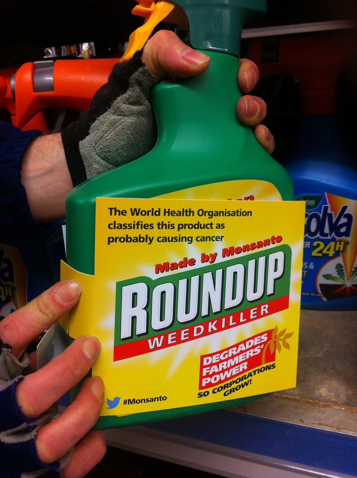 Roundup cancer