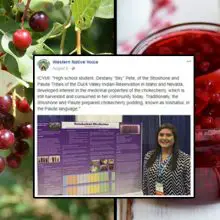 High School Student Wins Science Fair — Proves A Forgotten Native American Recipe Kills Cancer Cells in Just 24 HOURS