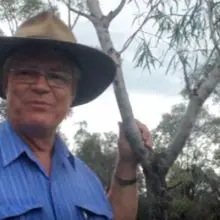 Rare Australian Tree Contains Cancer-Killing Properties, Used in the Aboriginal Medicine for Centuries