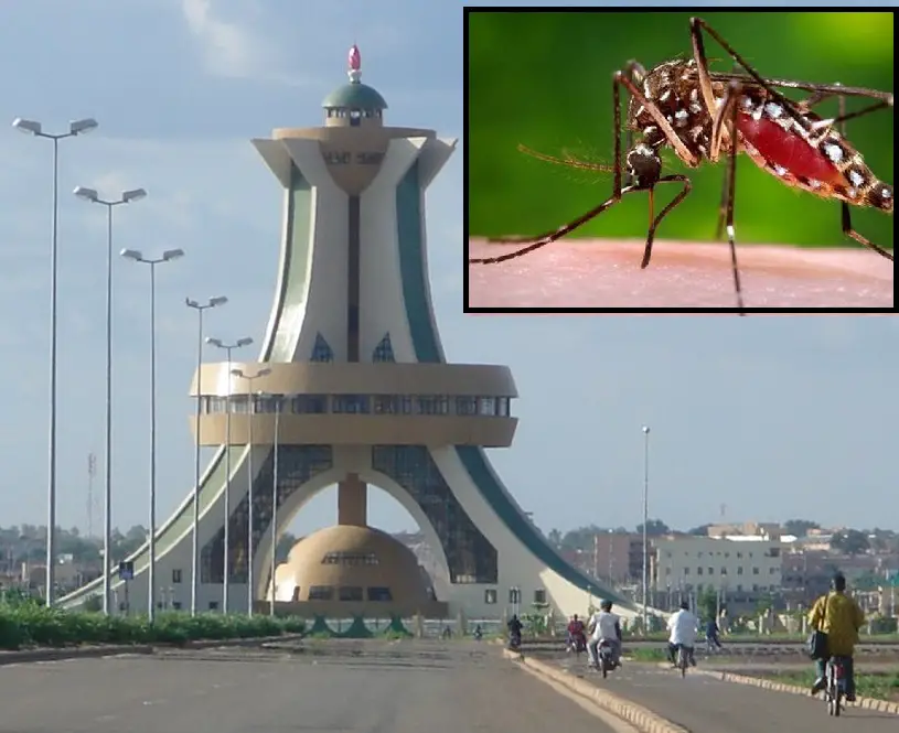 gmos burkina faso