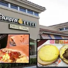 Panera Bread Petitions the FDA, Calls Out Competitors Over Use of Fake Eggs In Their Breakfast Sandwiches