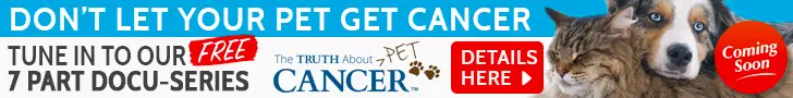 pet cancer