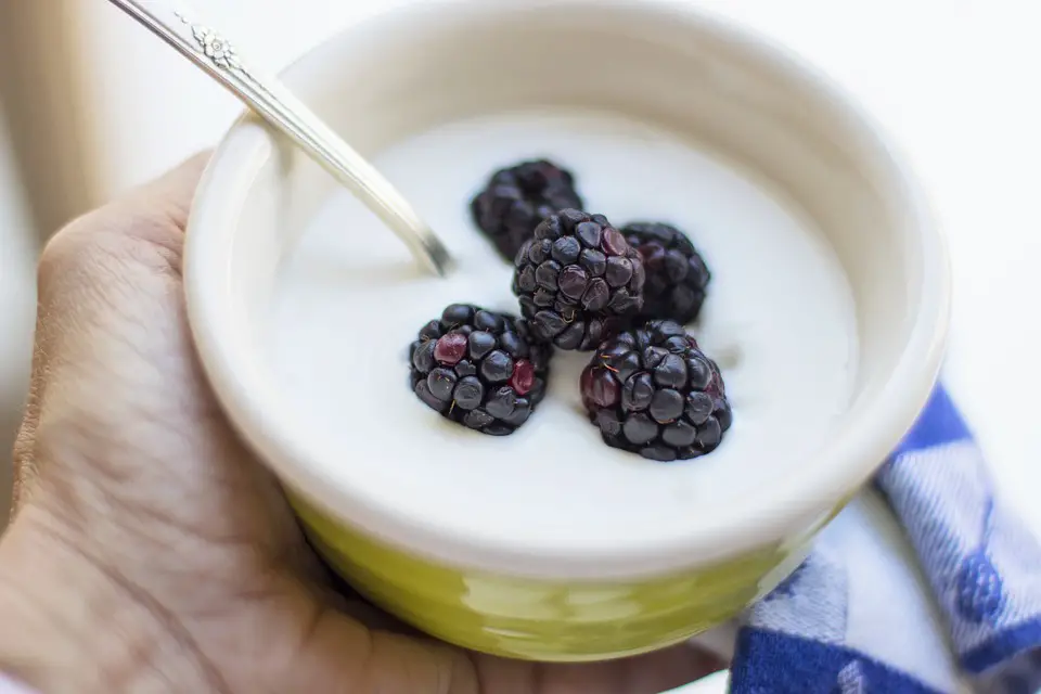 homemade yogurt recipe for IBS relief