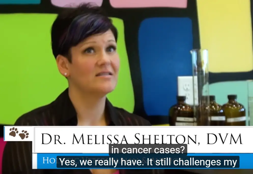 dr. melissa shrank pet tumors