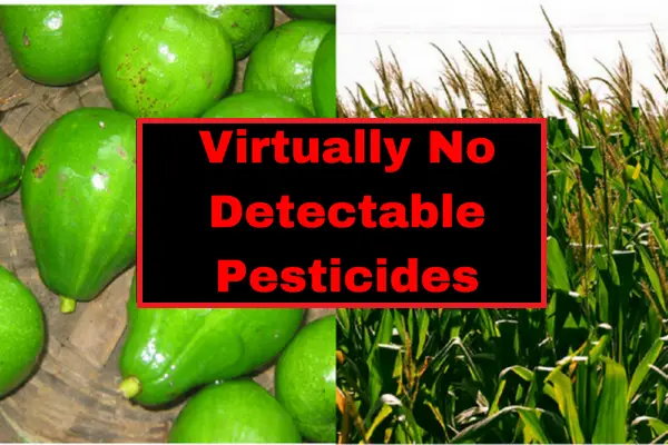 virtually no detecable pesticides