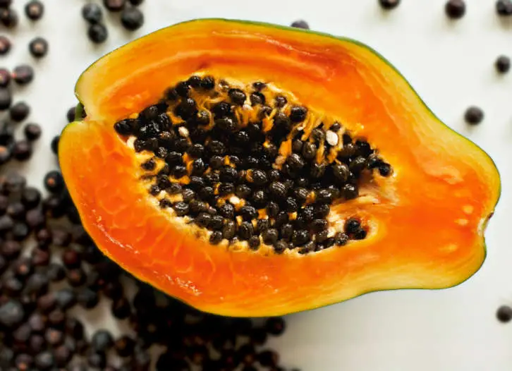 papaya seed enzyme supplement where to buy