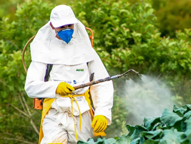 pesticides pregnancy