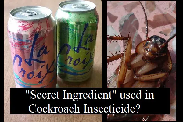 lacroix ingredients 