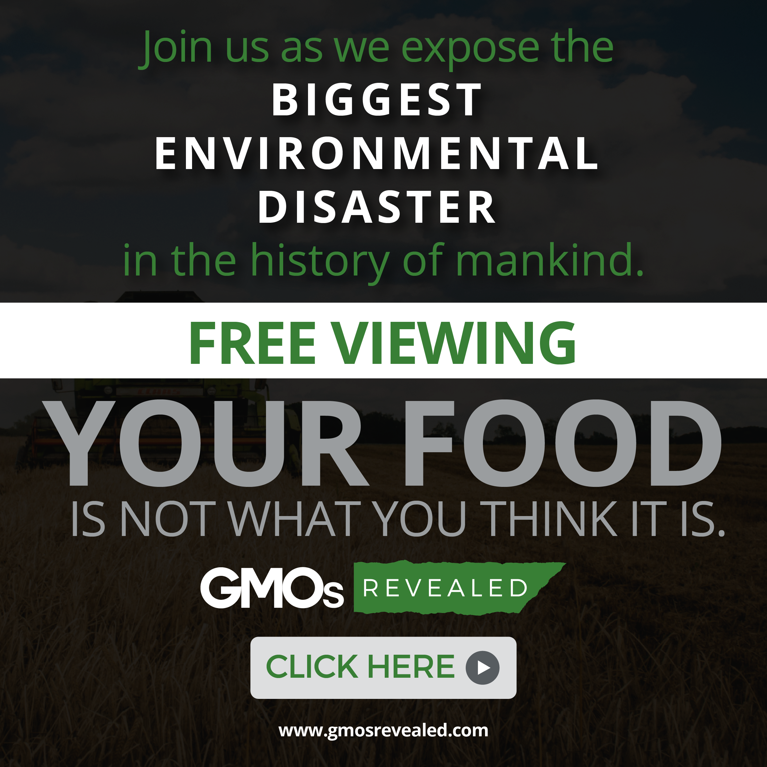 gmos revealed video player