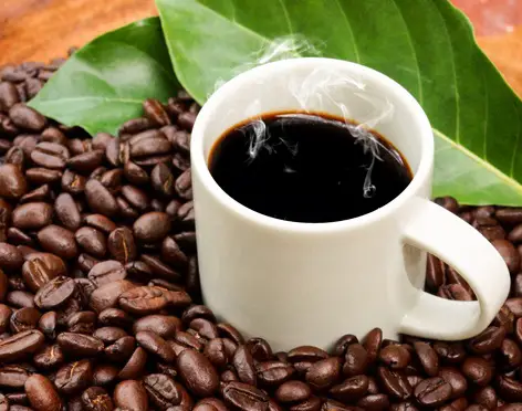 organic coffee cup