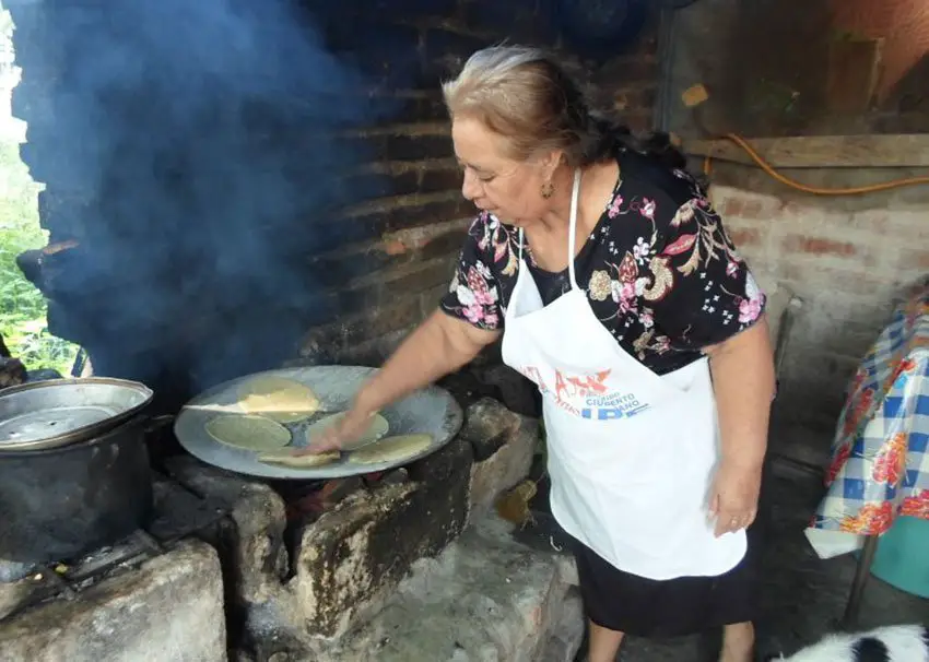 gmo corn tortillas mexico